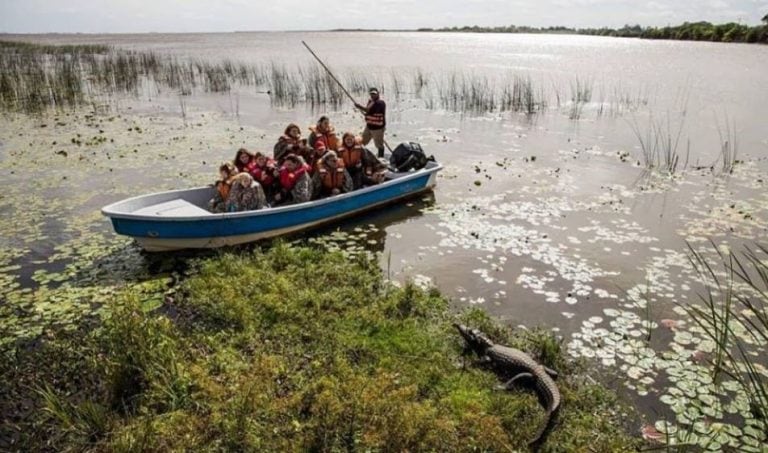 Esteros del Iberá