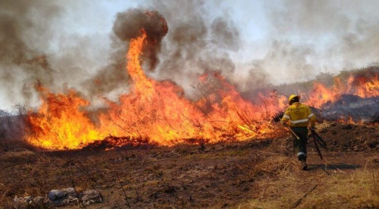 Se logró controlar un incendio de magnitudes considerables, en una zona de pastizales ubicada en el loteo Las Marías del barrio Alto Comedero.