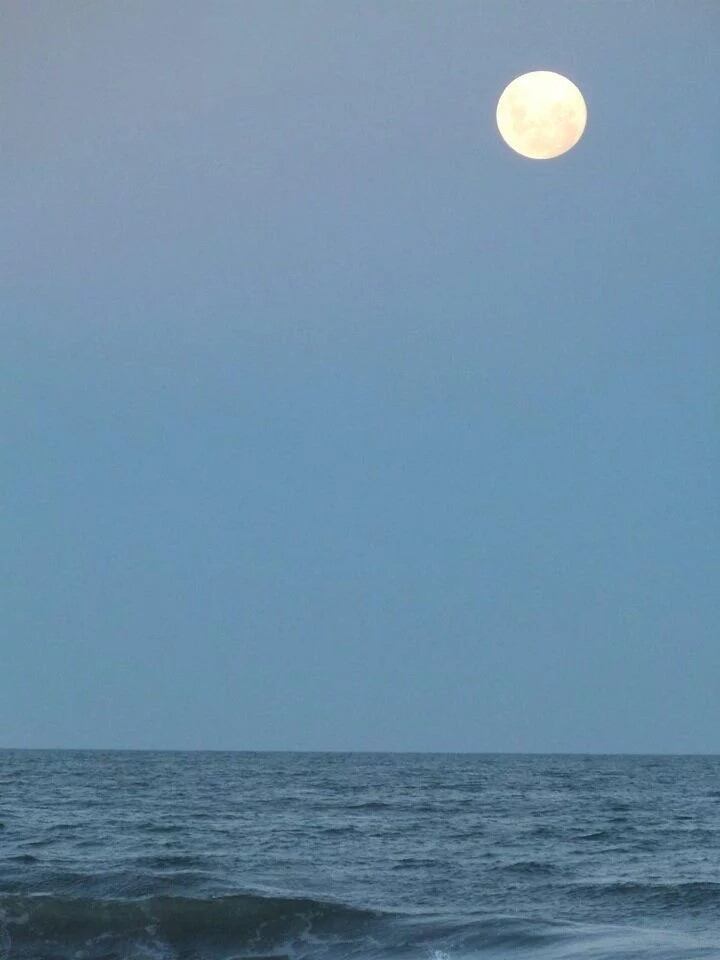 La "Superluna de nieve" iluminó a toda Argentina.