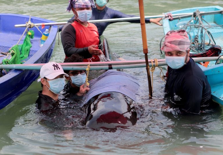 (Foto: EFE/EPA/STR THAILAND OUT)