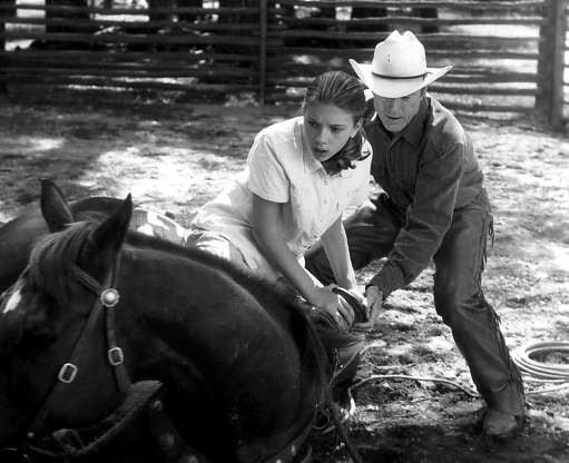 Scarlett Johansson con Robert Redford.