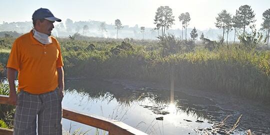 Zona de incendios cercana a Posadas. La escasez de lluvias favorece las quemazones en selva y campos de Misiones. (Foto de Sixto Fariña)