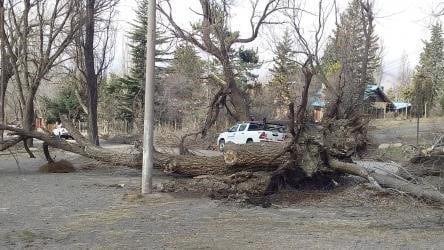 En el Gran Mendoza, Guaymallén y Las Heras fueron los departamentos más afectados por el viento Zonda.