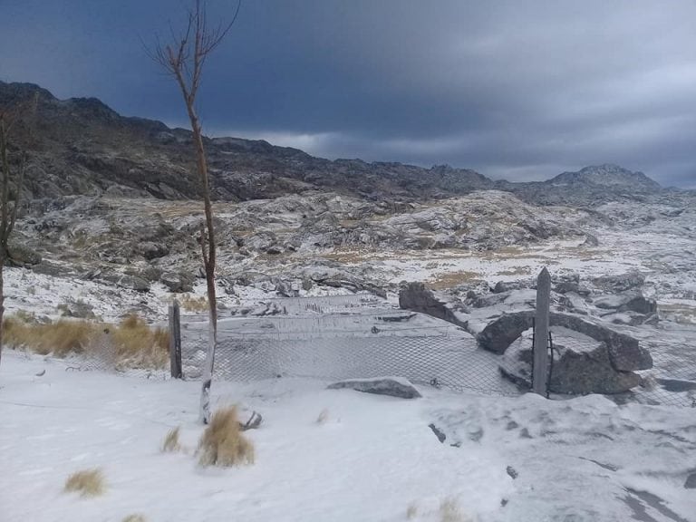 Las fotos de la nevada en el Champaquí.