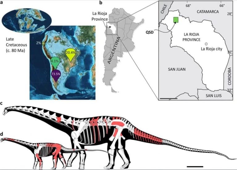 Descubren fósiles de dinosaurios de más de 70 millones de años de antigüedad en La Rioja (Gobierno de La Rioja)