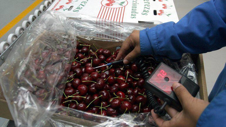 Exportación de cereza Argentina