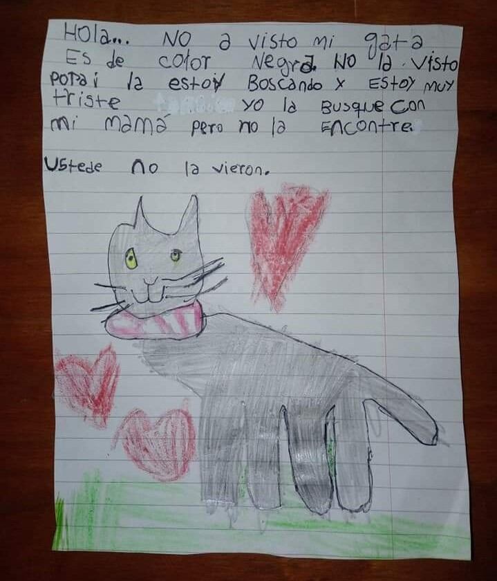 El simpático dibujo con el pedido de ayuda para encontrar a "Uma" en el barrio Los Perales.