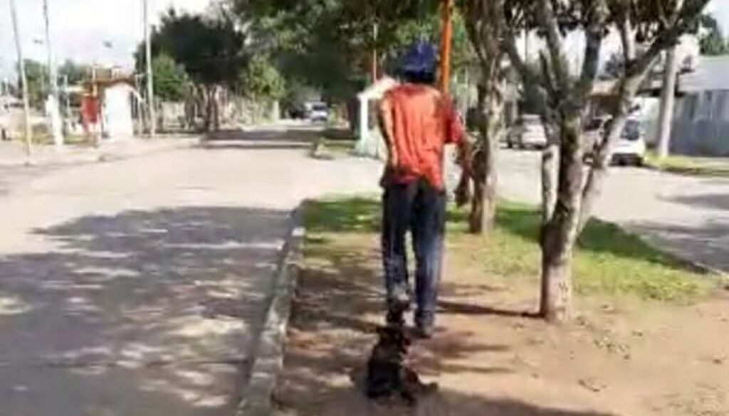 El registro del maltrato de este vecino a su perrita.