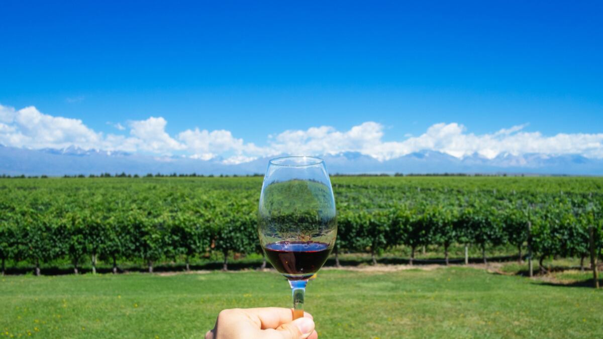 Mendoza será la anfitriona de las Capitales del Vino en la Conferencia Anual 2022
