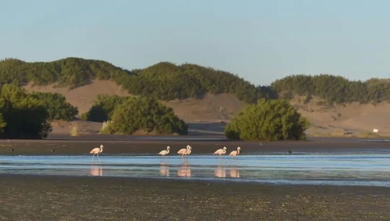 Albufera Reta, Balneario Reta