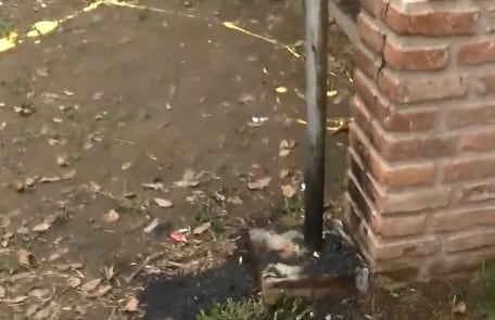 Vandalismo en la Escuela Técnica 550 de Granadero Baigorria. (Captura)