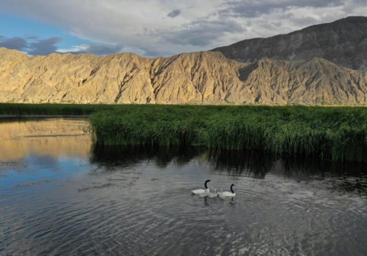 Las reservas naturales en San Juan que podés conocer gratis