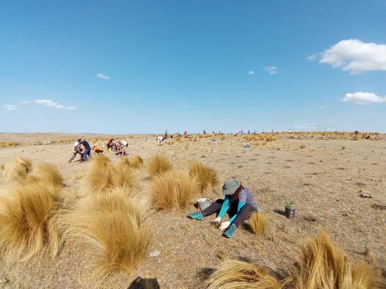 El equipo se llama "Waju", proyecto dirigido por Julio Domínguez. (Foto: gentileza Mariela Rojas).