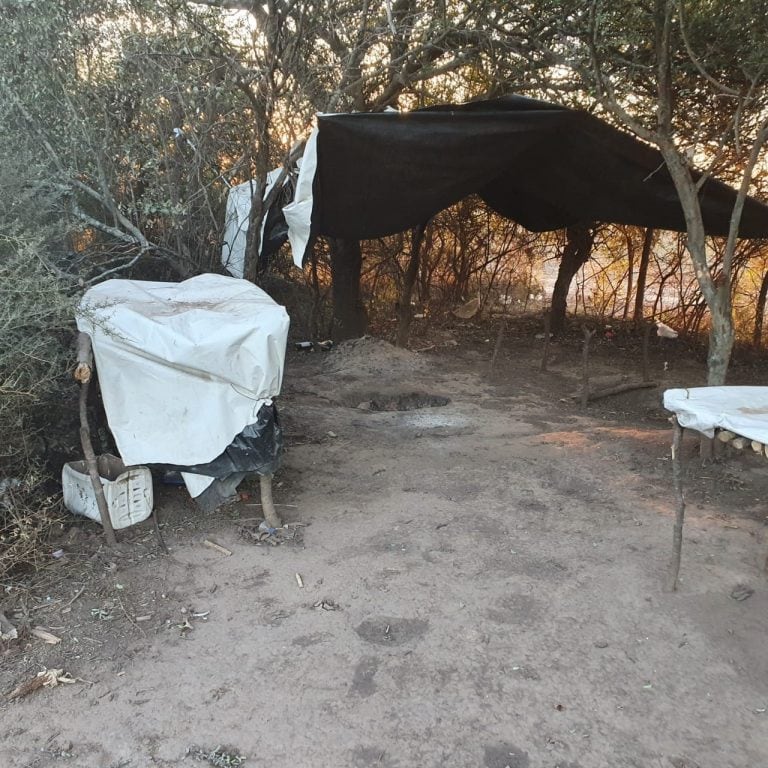 Hallaron a la joven de 13 años en el campo, sin sus padres ni tutor a cargo. (Gendarmería Nacional)