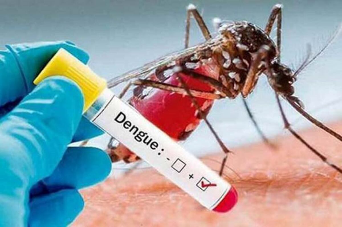 Se confirmaron diez casos de dengue en Andresito y seis en Iguazú