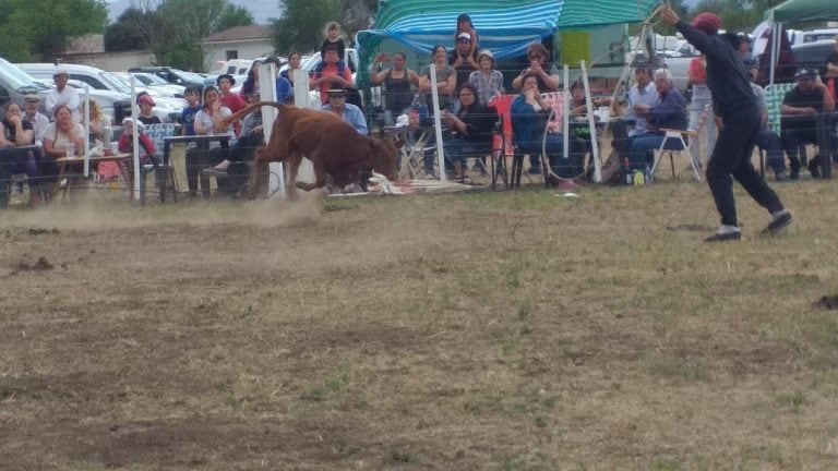 Expo pampa de Pocho