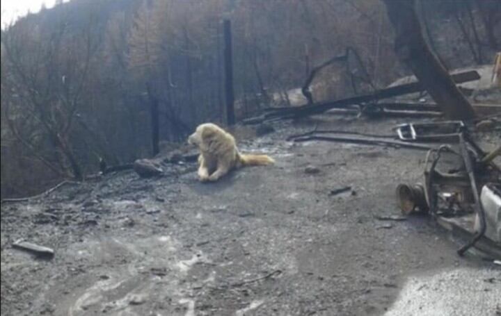 Madison custodió la casa incendiada (Web)