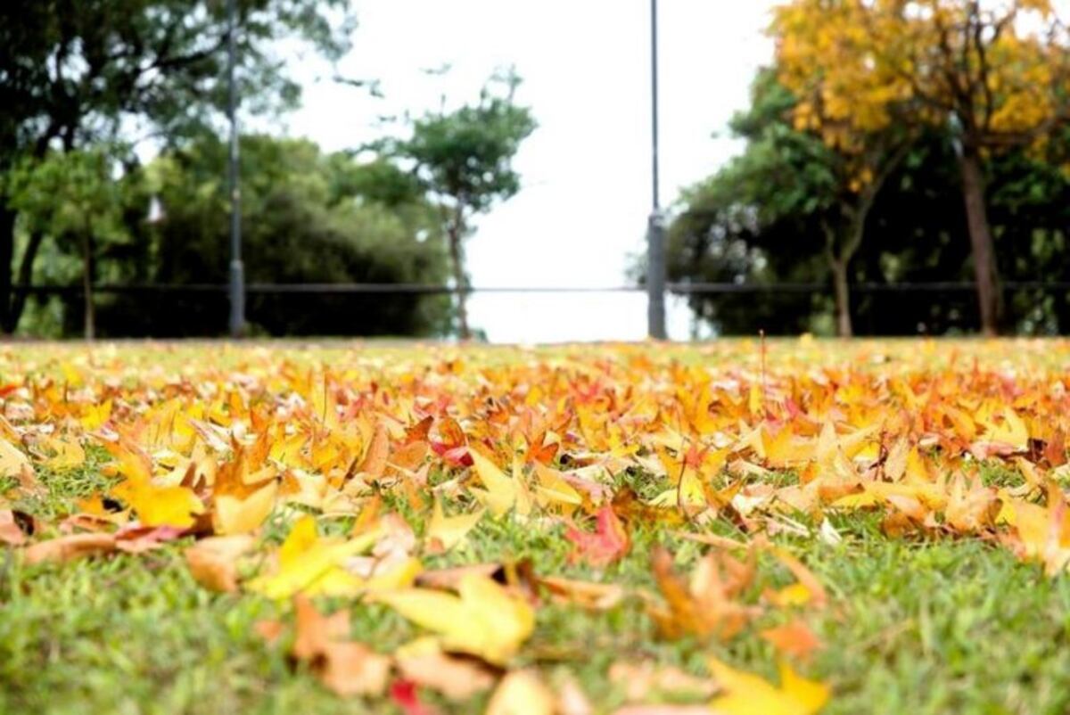 El tiempo en Rosario: el jueves trae viento rumbo a un fin de semana agradable