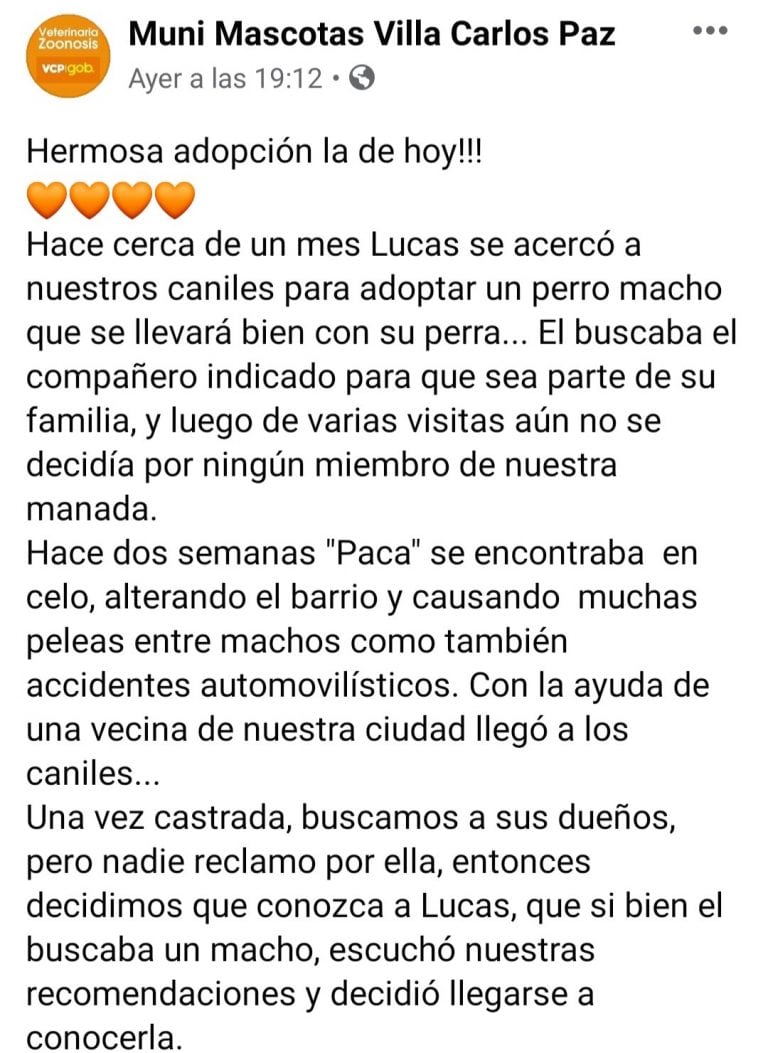 Publicación difundida a través de "Muni Mascotas Villa Carlos Paz". (Foto: captura de pantalla / Facebook).