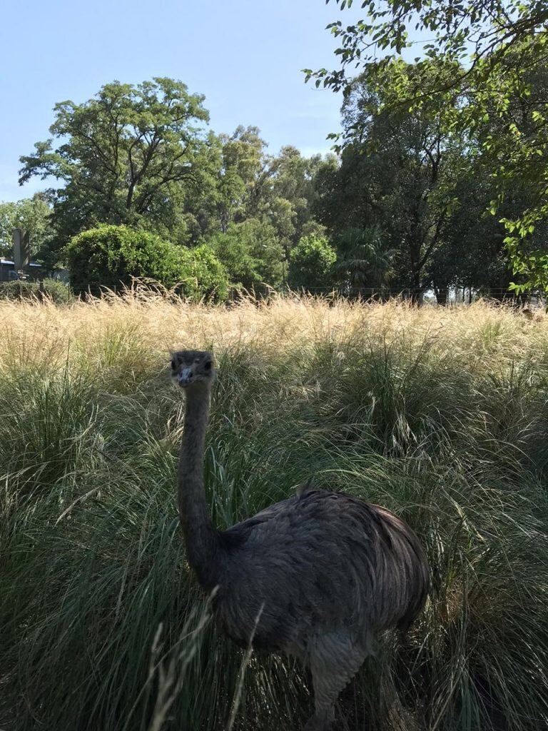 Bioparque La Máxima en Olavarría.