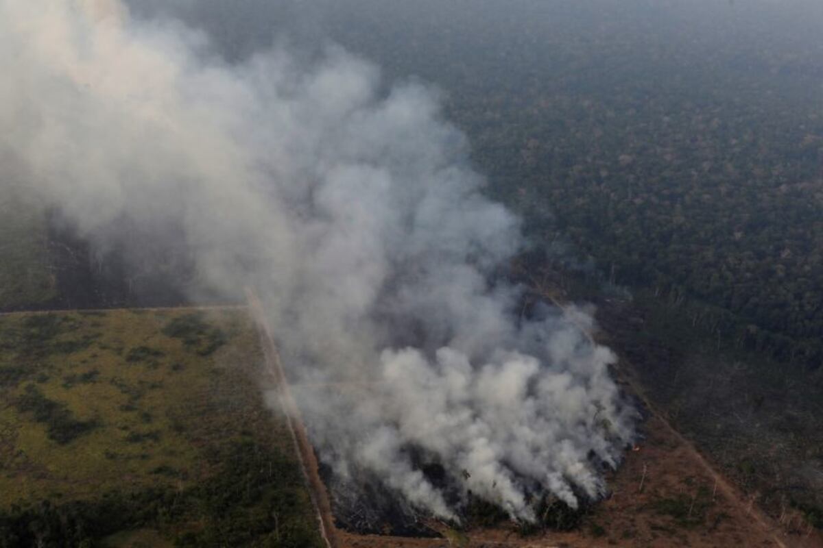 El incendio en el Amazonas fue calificado como una "catástrofe continental" con "impacto mundial"