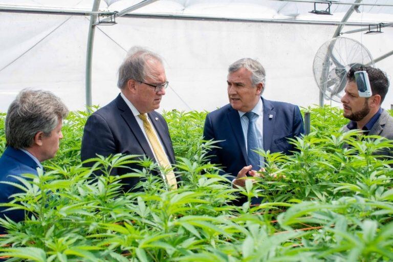 El embajador de Alemania en Argentina, Jürgen Christian Mertens, escucha los comentarios del gobernador Morales acerca del proyecto de producción de derivados medicinales de cannabis que se lleva adelante en finca El Pongo.