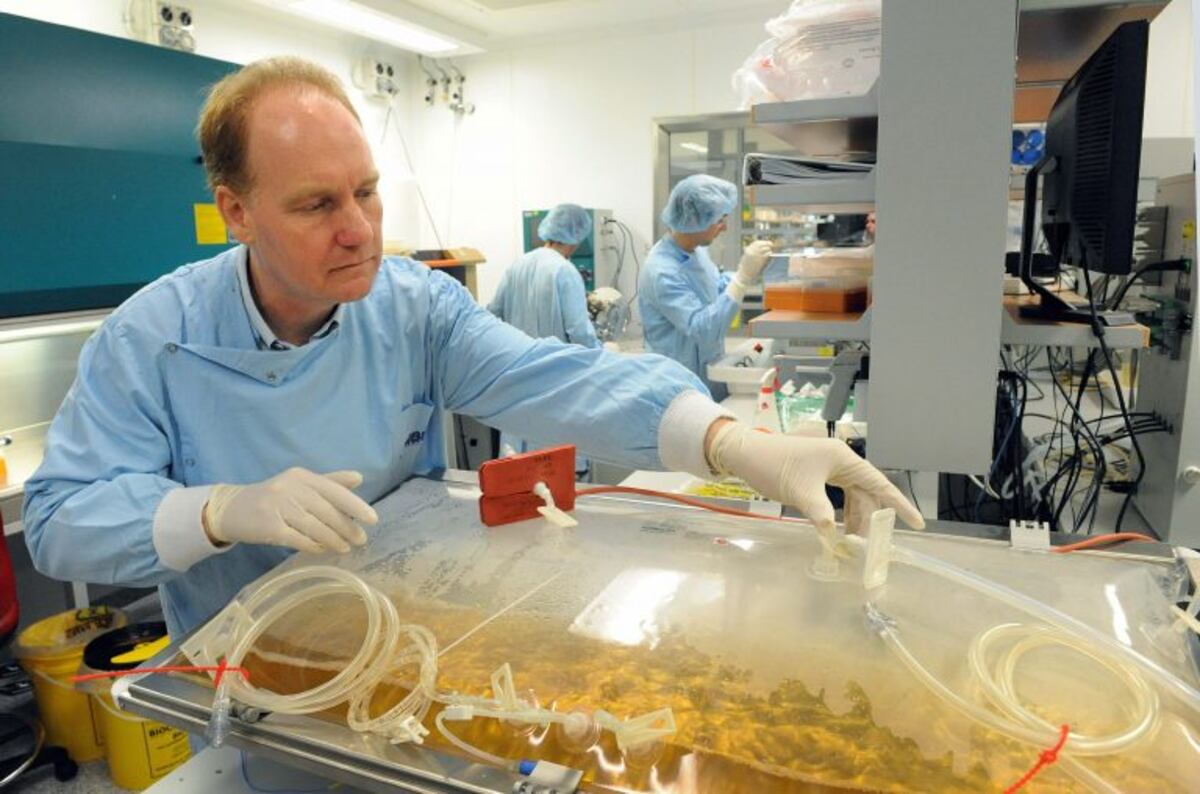Realizarán talleres sobre Nanotecnología en Río Gallegos y Piedra Buena