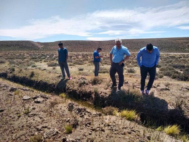 CORFO realizó un relevamiento de tucuras con la presencia del presidente del organismo provincial, Sixto Bermejo y el director Regional Meseta Central, Mario Reguilo.