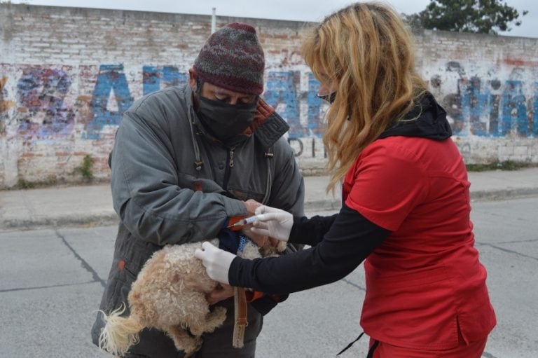 Las jornadas de vacunación en los barrios se suspenden durante esta semana (Municipalidad de Salta)