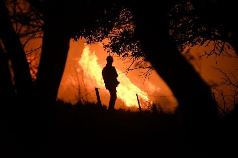 Sin cuartel, los bomberos luchan contra el fuego desde hace dos semanas.