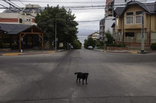 Aislamiento en Bariloche (ANB Bariloche).