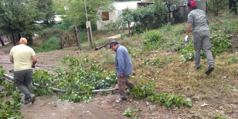 La tormenta tuvo efectos sobre la arboleda de El Trapiche donde se registró 92 mm (San Luis) fuente REM