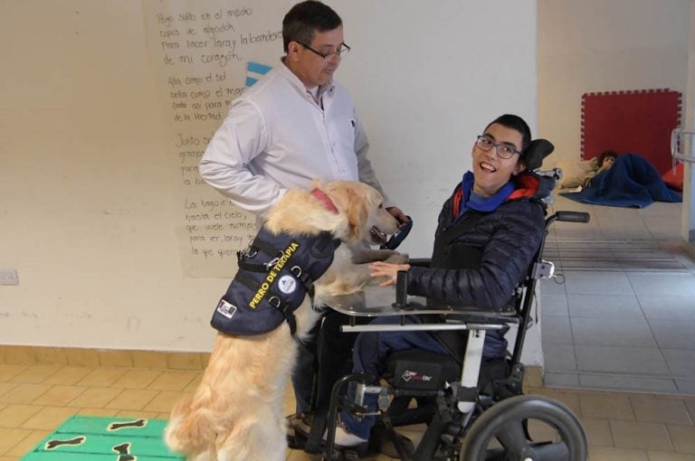 Lola y Zoe, las perritas de la División Canes de la Policía que ayudan en su terapia a chicos con discapacidad. (Prensa Gobierno)