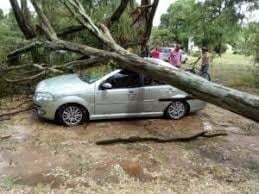 Temporal en Tres Arroyos, 1 de enero 2019