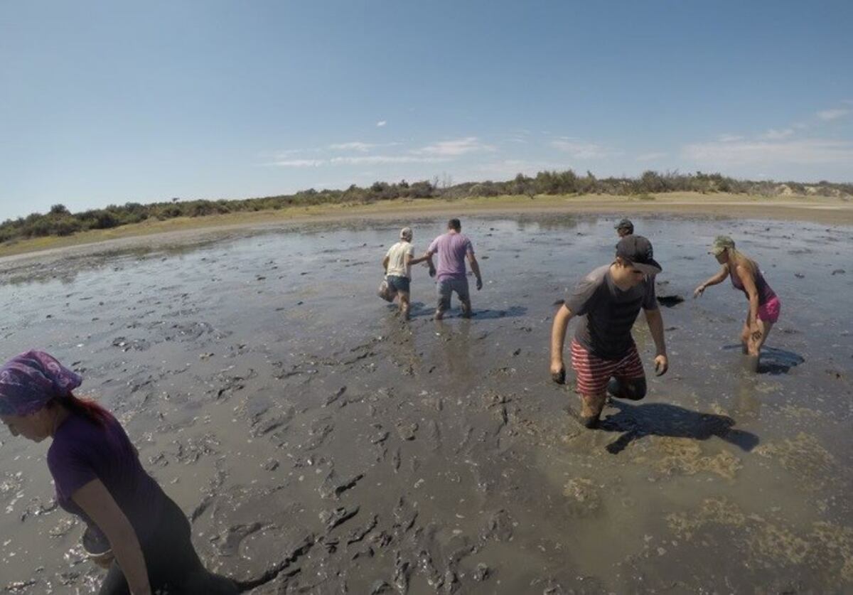 Emergencia: voluntarios rescatan peces con baldes en el Dique EL Carrizal
