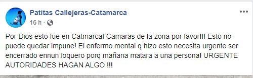 Facebook: Patitas callejeras Catamarca