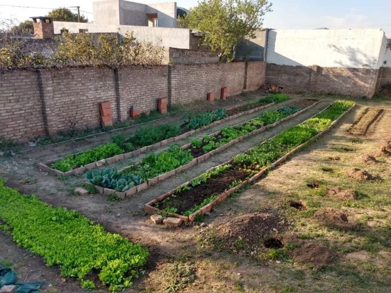 En La Paquita el 75 porciento de los vecinos tiene su huerta.