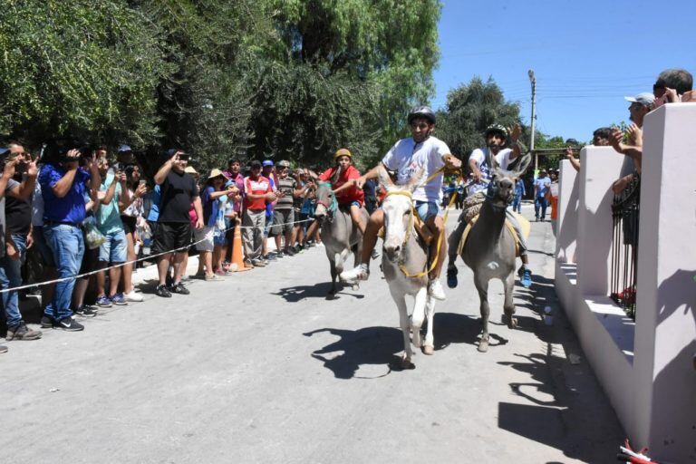 Rally de Burros en Los Molinos