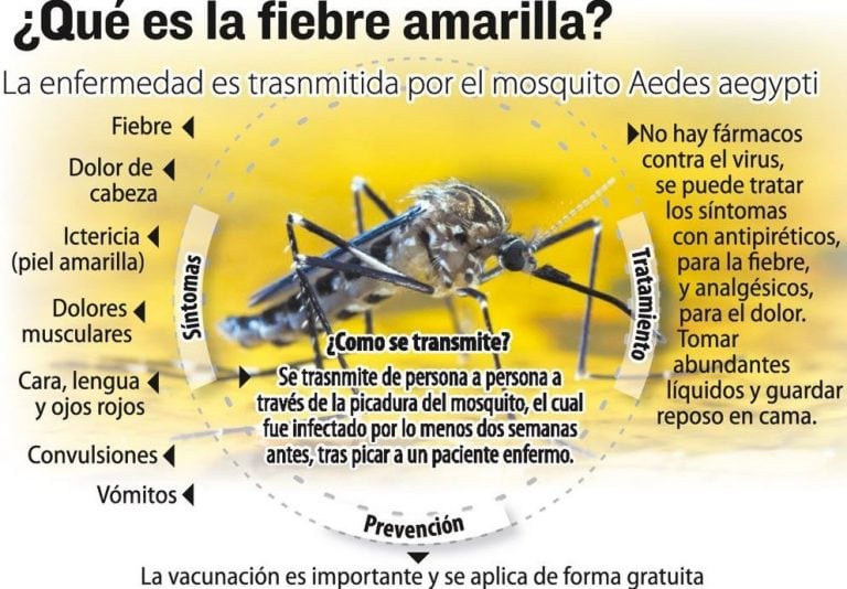 Fiebre Amarilla