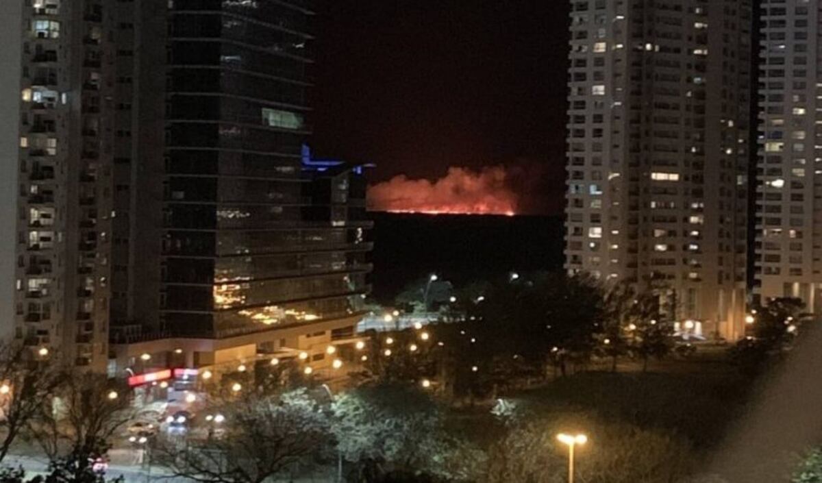 Denuncian abandono de persona por incendios en islas del Delta del Paraná