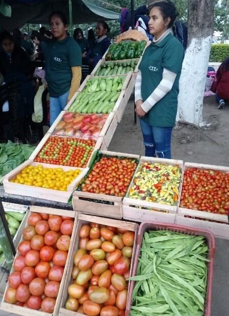 Tomates de las diferentes variedades y demás productos, en prolija exhibición en los stands.