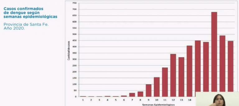 Aumento de los casos de dengue en Santa Fe (Captura de pantalla)