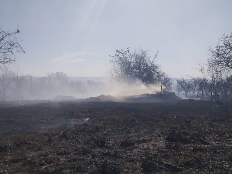 incendio forestal activos.