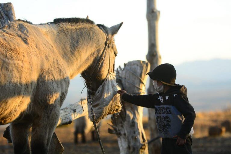 La primera salida de un niño neuquino y el regalo sorpresa que le esperaba (Foto: Martín Muñoz)