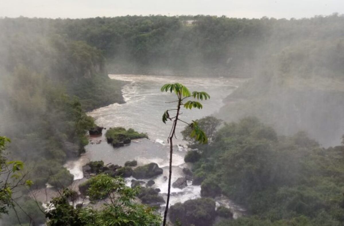 El Parque Nacional Iguazú volvió a recibir pocas visitas el fin de semana