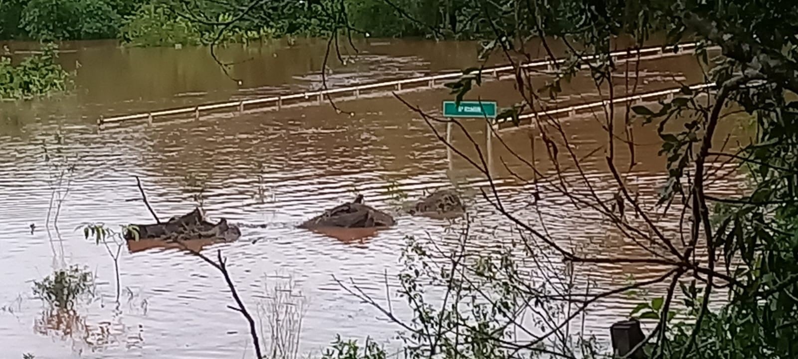 Fuerzas de seguridad brindan apoyo a Panambí en medio de la crecida del río Uruguay.