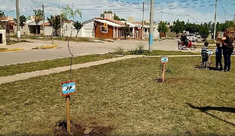 Acto en Río Tercero, plantación de árboles por los caídos en Malvinas