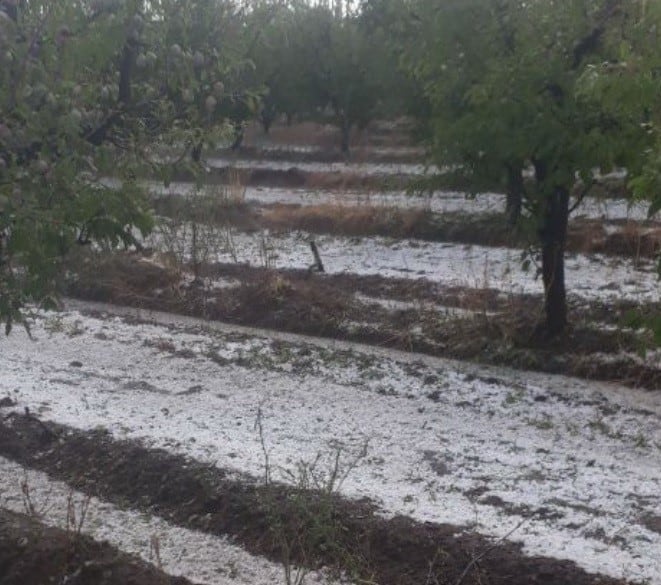 Así quedaron las fincas.