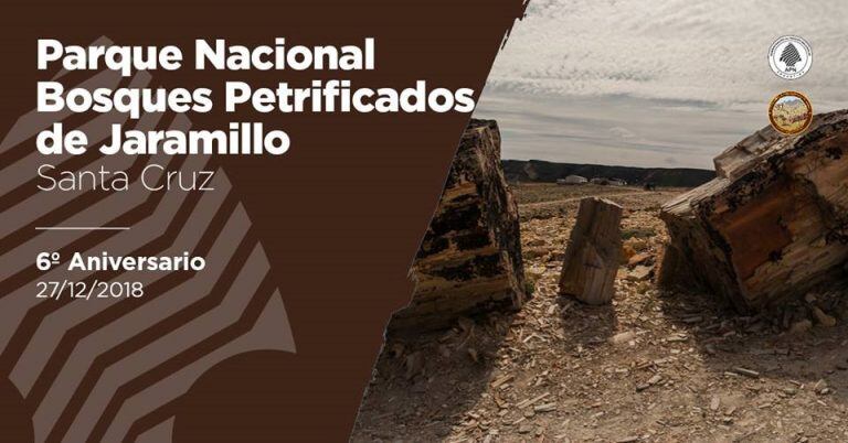 jaramillo bosque petrificado