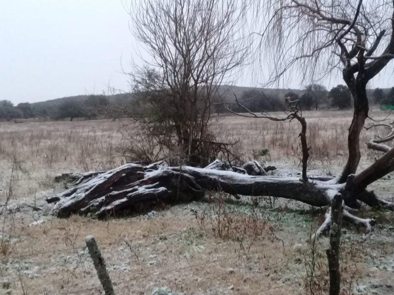 El norte cordobés en San Pedro y Tulumba se vio sorprendido por una intensa nevada este jueves.